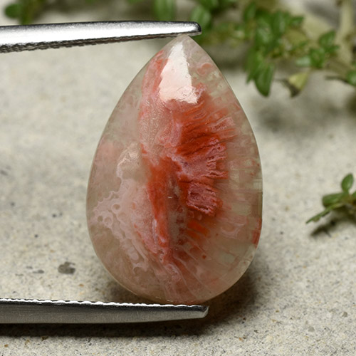 5.62克拉天然珊瑚，梨形，半透明