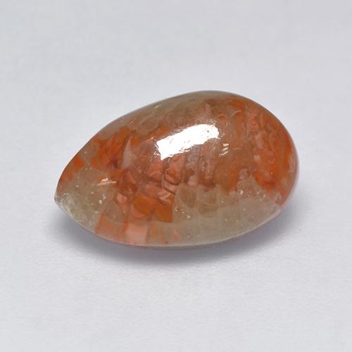 3.39克拉天然多色珊瑚，梨形，13×8.2毫米，半透明