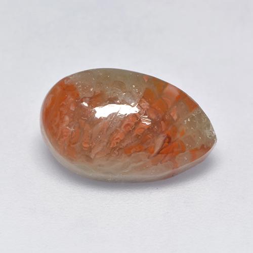 3.39克拉天然多色珊瑚，梨形，13×8.2毫米，半透明