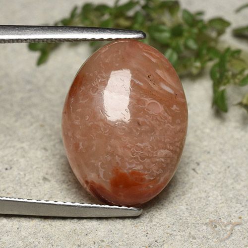 10.75ct 天然 彩色 珊瑚, 椭圆形, 半透明