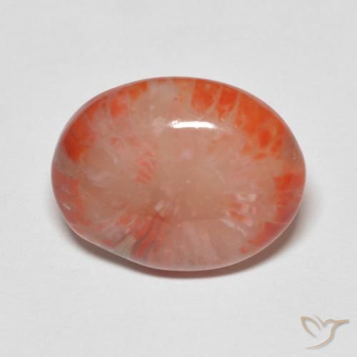 4.60ct 天然 彩色 珊瑚, 椭圆形, 半透明