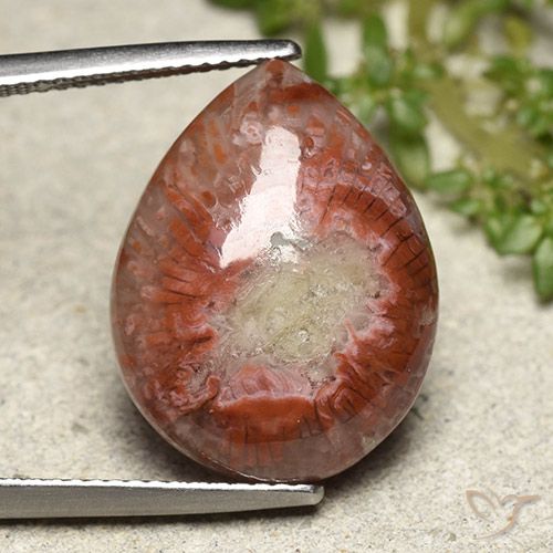 11.90ct 天然 彩色 珊瑚, 梨形, 不透明