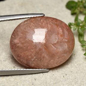 16.05克拉天然多色珊瑚，椭圆形切割，19.7×15.9毫米，半透明