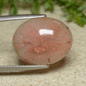 10.65克拉天然珊瑚，椭圆形切割，半透明