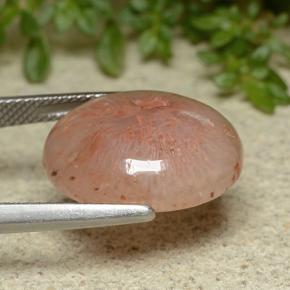 10.65克拉天然珊瑚，椭圆形切割，半透明