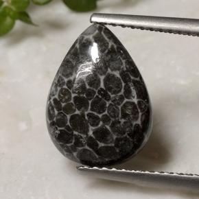 2.93克拉天然多色珊瑚，梨形，13×9.7毫米，不透明