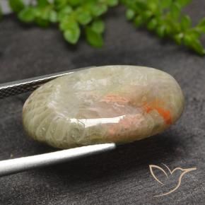 11.82克拉天然珊瑚，椭圆形，半透明