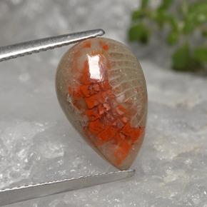 4.02克拉天然多色珊瑚，梨形，15.1×9.9毫米，半透明