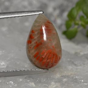 2.84克拉天然多色珊瑚，梨形，12.5×8毫米，不透明