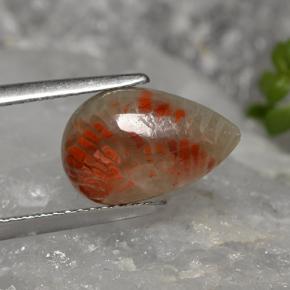 2.84克拉天然多色珊瑚，梨形，12.5×8毫米，不透明