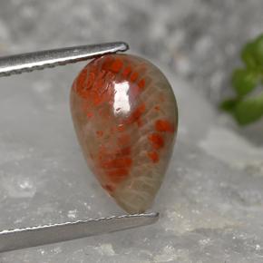 2.84克拉天然多色珊瑚，梨形，12.5×8毫米，不透明