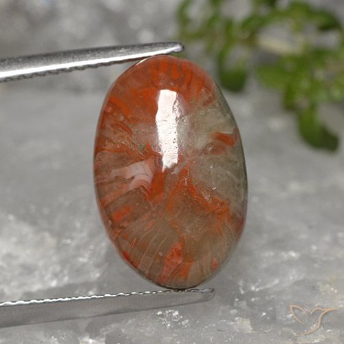 5.96ct 天然 彩色 珊瑚, 椭圆形, 不透明
