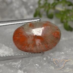 5.96克拉天然珊瑚，椭圆形，不透明