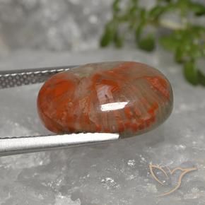 5.96克拉天然珊瑚，椭圆形，不透明