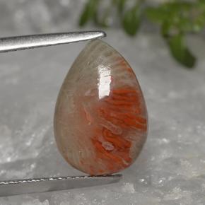 3.19克拉天然多色珊瑚，梨形，13.3×9.3毫米，半透明