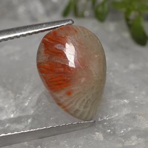 3.19克拉天然多色珊瑚，梨形，13.3×9.3毫米，半透明