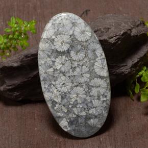 43.97克拉天然多色珊瑚，椭圆形切割，45.6×25.8毫米，不透明
