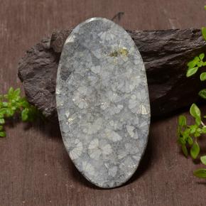 43.97克拉天然多色珊瑚，椭圆形切割，45.6×25.8毫米，不透明