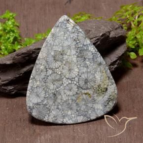 72.53克拉天然珊瑚，梨形，不透明