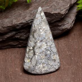 29.10克拉天然多色珊瑚，三角形，38.6×20.6毫米，不透明