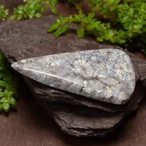 29.10克拉天然多色珊瑚，三角形，38.6×20.6毫米，不透明