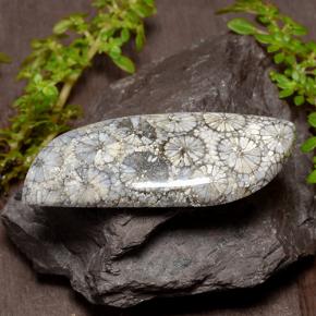 26.84克拉天然珊瑚，异形，不透明