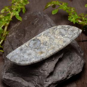 26.84克拉天然珊瑚，异形，不透明