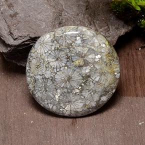 42.64克拉天然珊瑚，圆形切割，不透明