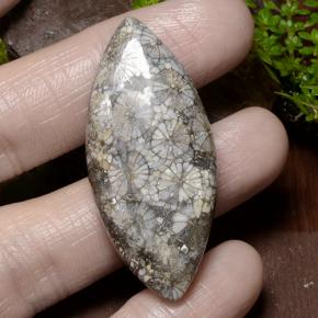 36.99克拉天然珊瑚，榄尖形，不透明