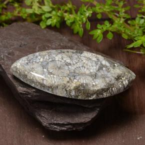 36.99克拉天然珊瑚，榄尖形，不透明