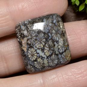 23.19克拉天然珊瑚，垫形剪裁，不透明