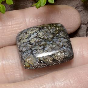 23.19克拉天然珊瑚，垫形剪裁，不透明