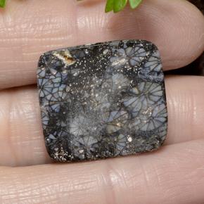 23.19克拉天然珊瑚，垫形剪裁，不透明