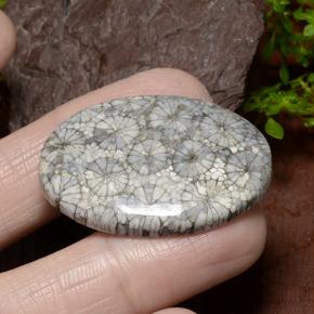 34.23克拉天然珊瑚，椭圆形切割，不透明