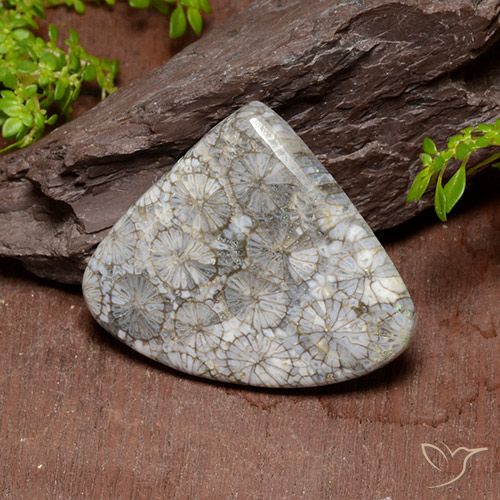 39.63ct 天然 彩色 珊瑚, 梨形, 不透明