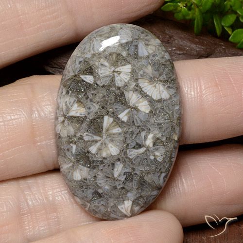 42.02ct 天然 彩色 珊瑚, 椭圆形, 不透明