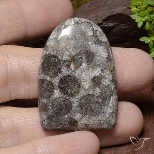 45.79ct 天然 彩色 珊瑚, 花式切割, 不透明