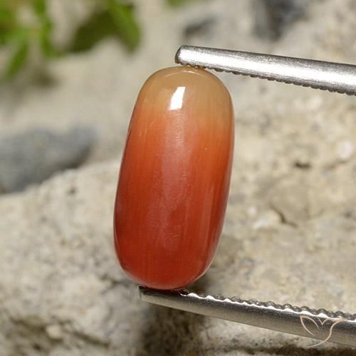 2.12ct 天然 中橙 珊瑚, 椭圆形, 不透明