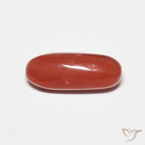 2.01ct 天然 中红 珊瑚, 椭圆形, 不透明