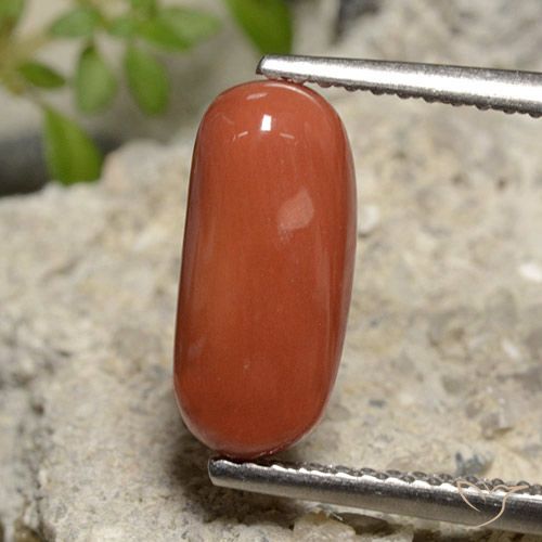 2.39ct 天然 橙红色 珊瑚, 椭圆形, 不透明