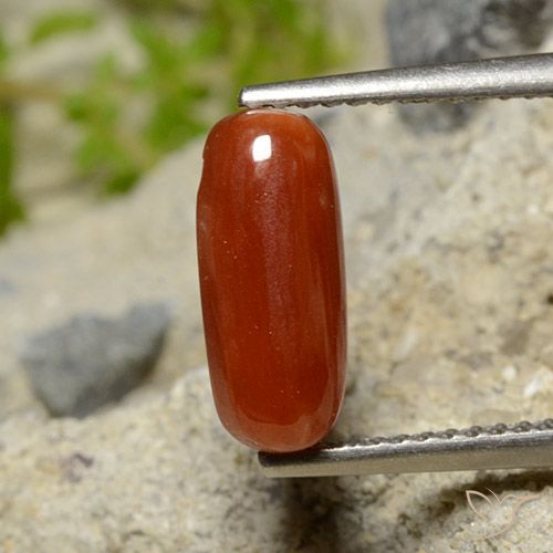 1.81ct 天然 火红 珊瑚, 椭圆形, 不透明