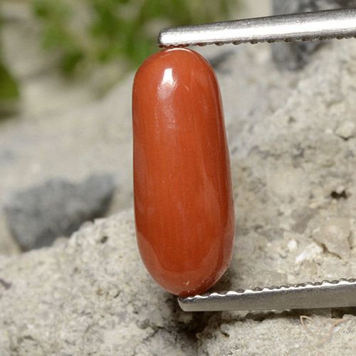 1.91ct 天然 中红 珊瑚, 椭圆形, 不透明
