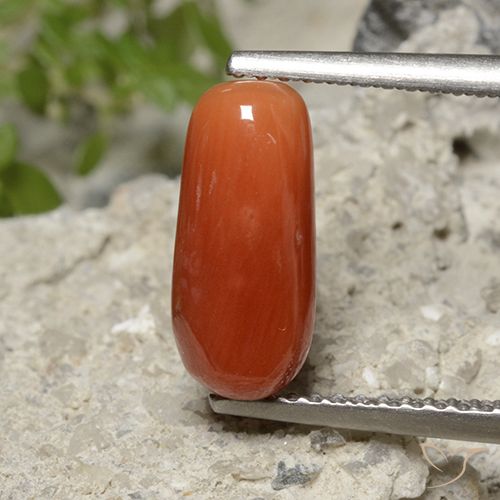 2.23ct 天然 火橙 珊瑚, 椭圆形, 不透明