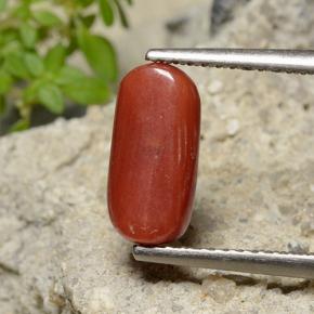 2.51克拉天然红色珊瑚，椭圆形切割，10.9×5.3毫米，不透明