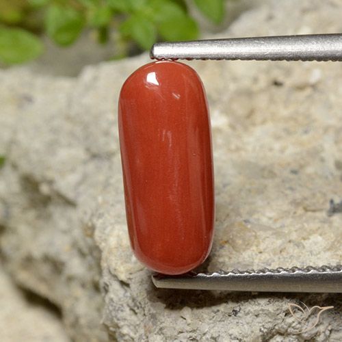 2.06ct 天然 橙红色 珊瑚, 椭圆形, 不透明