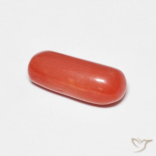 2.25克拉天然珊瑚，椭圆形，不透明