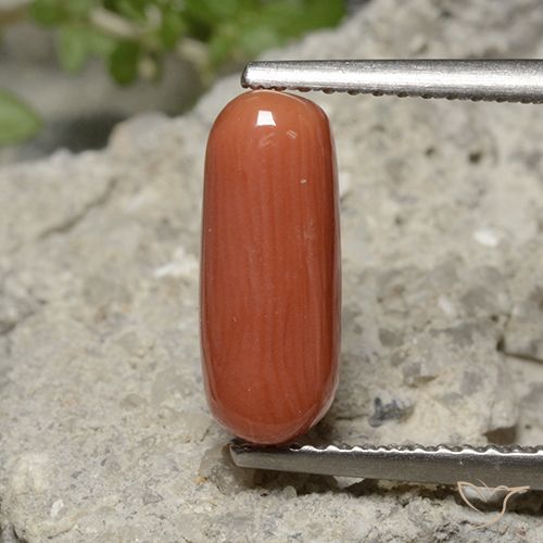 2.25ct 天然 火橙 珊瑚, 椭圆形, 不透明