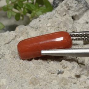 2.68克拉天然珊瑚，椭圆形切割，不透明