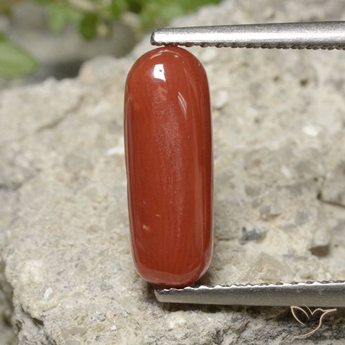 2.22ct 天然 橙红色 珊瑚, 椭圆形, 不透明