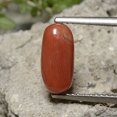 2.05ct 天然 中橙 珊瑚, 椭圆形, 不透明
